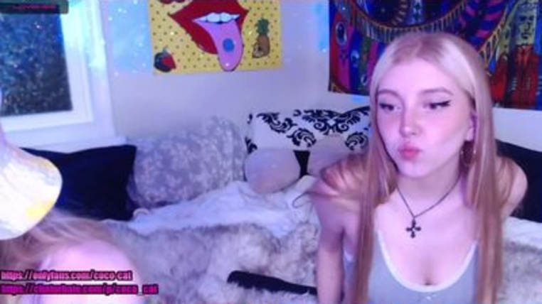 coco_cat profile picture