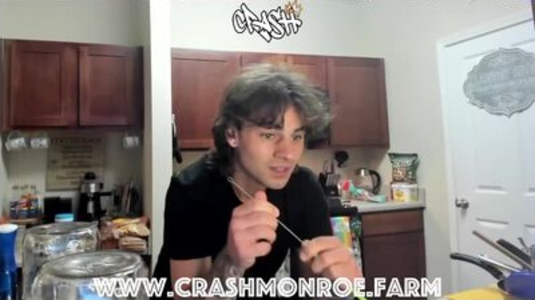 crashmonroe profile picture
